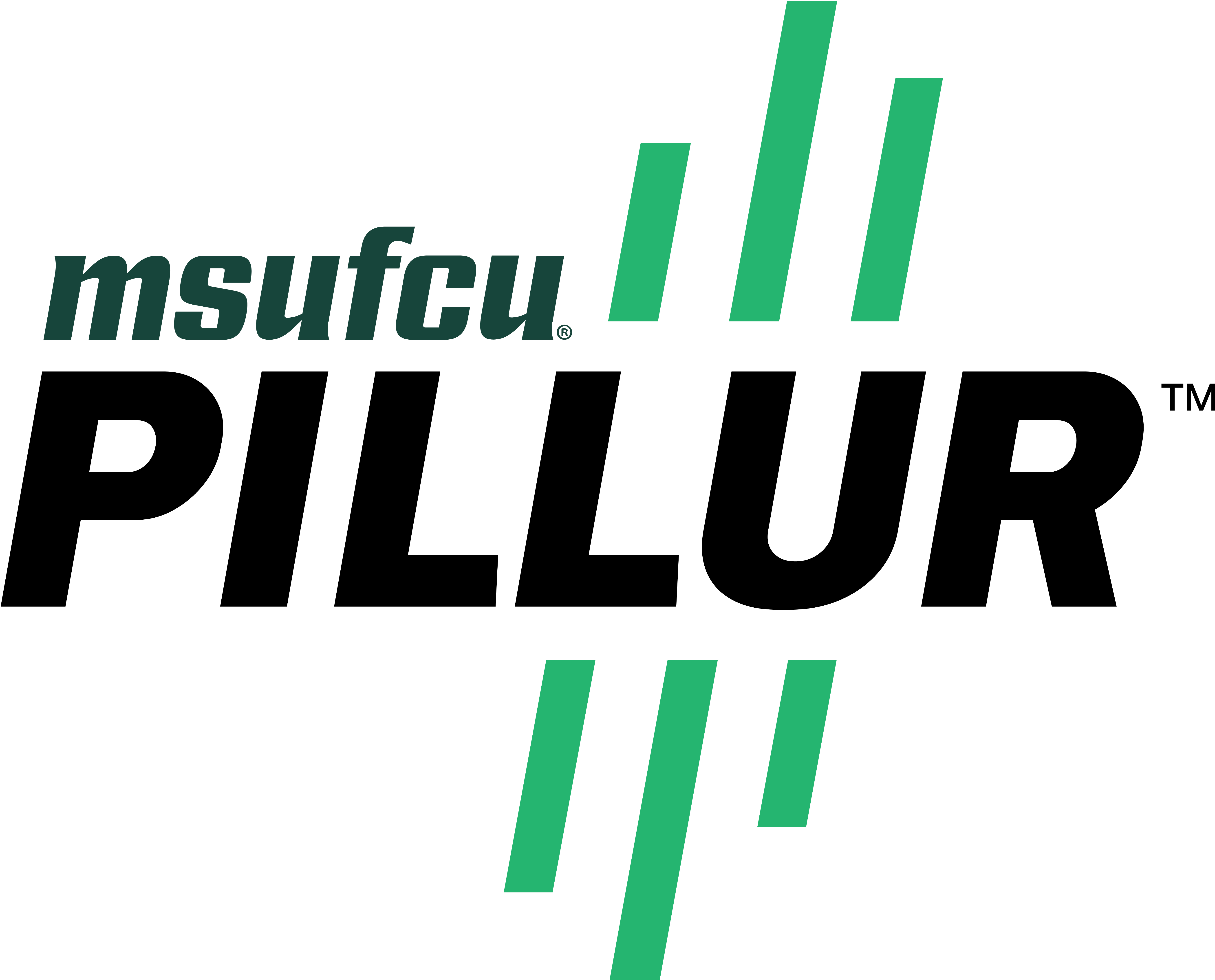 pillurlogo