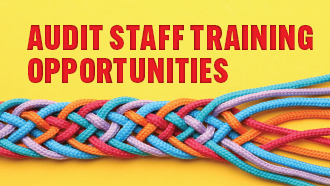 Audit Staff Opportunities